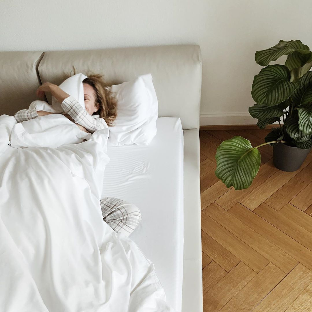 7 komforto zonos Dreamon čiužiniuose – kas tai ir kodėl tai svarbu?