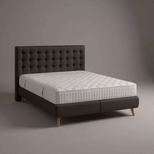 Čiužinys Dreamon Premium 27 cm