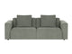 Olive-37